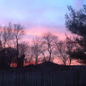 Meet your Posher, Ella